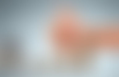 Flats in Noida Expressway