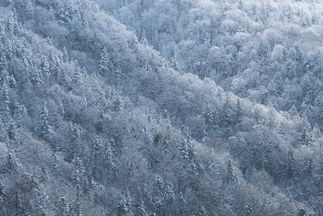 2023年もありがとうございました＊