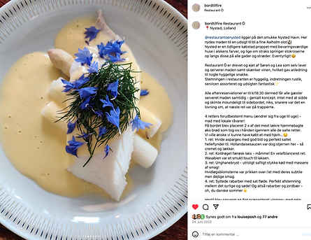 Anbefaling Instagram