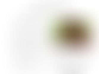 Autumn heat with perennials