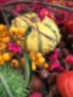 Winter Pots