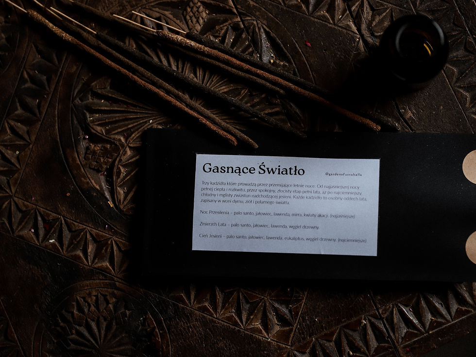 Miniatura: Gasnące Światło