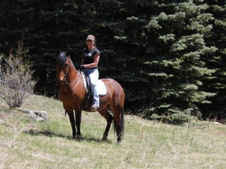 The gift of owning an Ideal horse