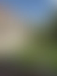 A Eterna Freira Assassinada do Convento de Santa Inês