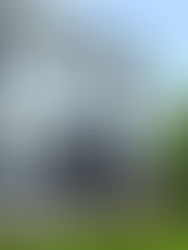 Elegância, Tragédia e Fantasmas - A Mansão Assombrada dos Barões da Cerveja (Casa à Venda)