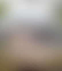 Durma em Bolhas Transparentes na Floresta, Finn Lough Hotel