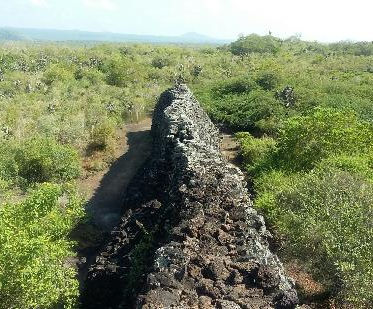 Muro das Lagrimas