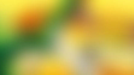 A Cuca não é Brasileira, você sabia?