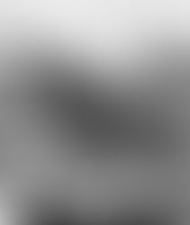 História do Circo & Centro de Memória do Circo