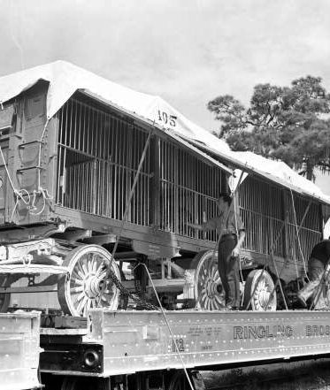 História do Circo & Centro de Memória do Circo