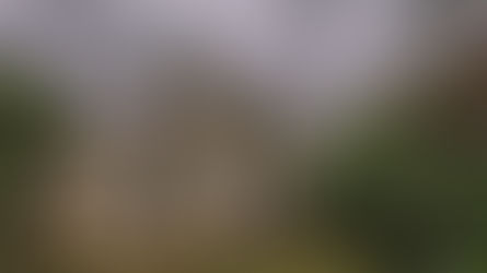 Mansão Francesa de 1998 - VENDIDA