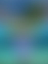 O que é uma Ilha Fantasma?