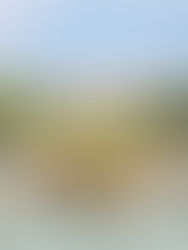 Os Fantasmas da Machine de Marly