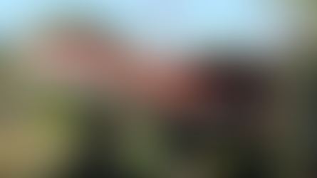 Casa-Avião para Aluguel