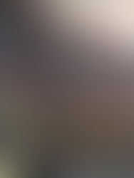 Real Gabinete Português de Leitura