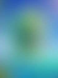 Folclore Marítimo Brasileiro