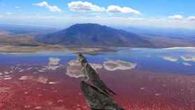 Lago Natron – O Lago Diabólico que Sussurra a Morte