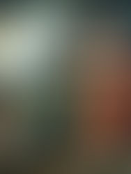 Bruxas Brasileiras: Acusações, Perseguições e Morte