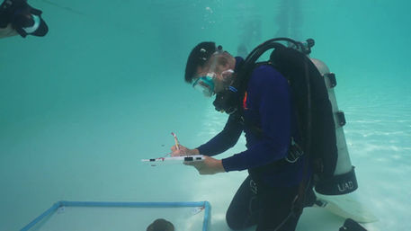 Arqueologia Submersa & Criminologia Forense Subaquática no Brasil