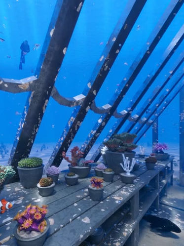 Museu Submerso: Mergulhe!!