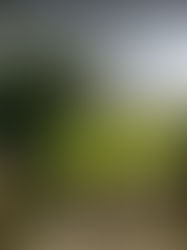 Fantasmas no Terreno da Mansão BORLEY & NA ATUAL IGREJA, Reino Unido