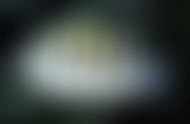 Linguado: Espécie de Peixe ou Nome Própio?