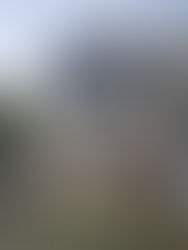 Casa Gótica de Sons & Sombras