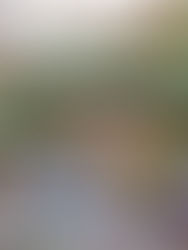 Chinatown: O Crepúsculo de Fantasmas