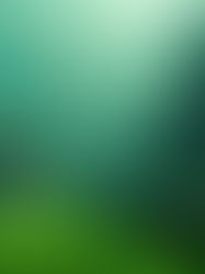 Cidade Submersa Dwarka