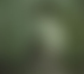 Personagens do Antigo Convento Medieval