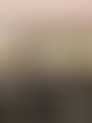 Jurrasic Park Burguer Restaurante