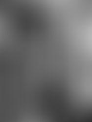 The Addams Family (A Família Addams)