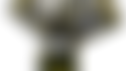 Tarot - Mistérios e Sabedoria 