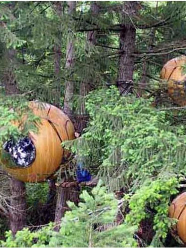 Free Spirit Spheres - Durma COM ou COMO os Pássaros