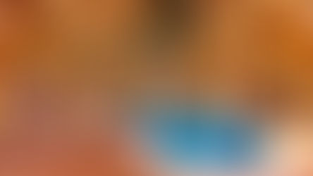 A Casa da Ilha do Tesouro está à Venda!