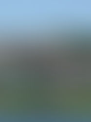 Carleton Villa: Eternos Moradores