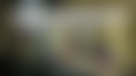 Explicações dos Termos: Sanatórios e Outros...