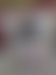 Capa de Almofada: Bruxa & Ervas