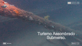 C.A: Turismo Assombrado: Mergulhando, literalmente, no Modulo VIII