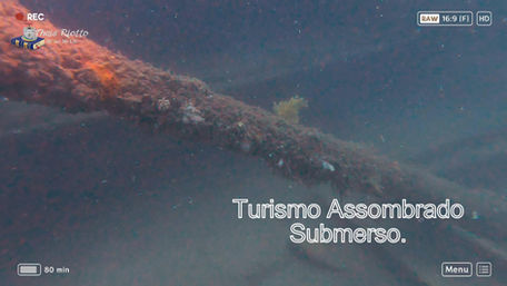 C.A: Turismo Assombrado: Mergulhando, literalmente, no Modulo VIII