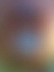 Hickory Dickory Dock & a Catedral Astronômica de Exeter