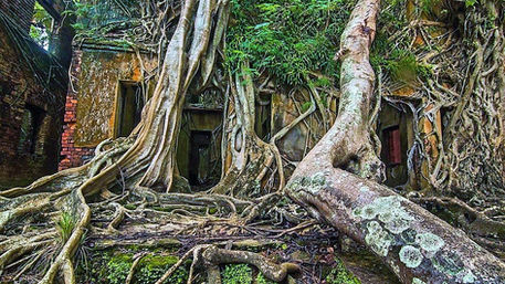 Ilha Ross: Prisão & Beleza Natural