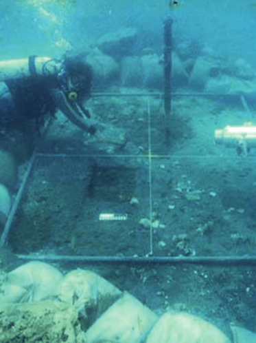 Cidade Submersa: Vultos & Ossos em Atlit-Yam