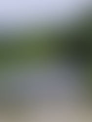 The Ensin Mansion - Casa à venda - New York com 09 Fantasmas