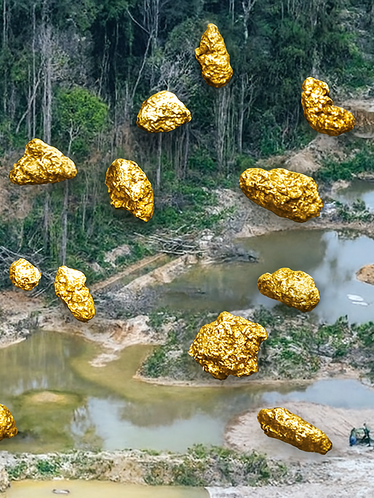 Ouro, Ambição e Mistério - A Corrida que Transformou o Brasil