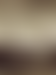 Arqueologia Subaquática e os Achados Inusitados na Costa Brasileira: Entre a Memória Histórica e os Desafios de Preservação