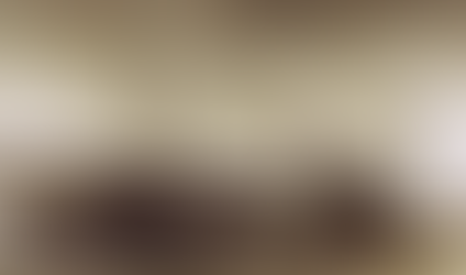 Arqueologia Subaquática e os Achados Inusitados na Costa Brasileira: Entre a Memória Histórica e os Desafios de Preservação