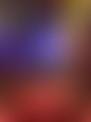 Vassoura Magica - Restaurante Temáticos