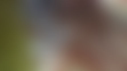 Painted Cave & Flauta Fantasmagórica 