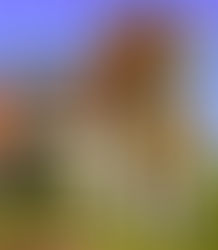 Tipos de Hospedagens